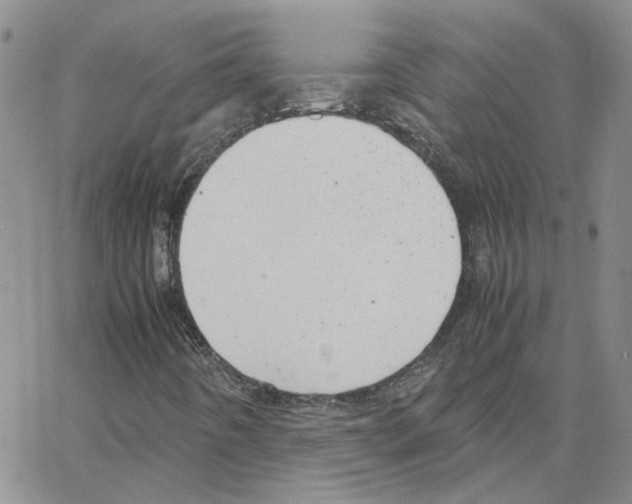 X0000064751442200603131332