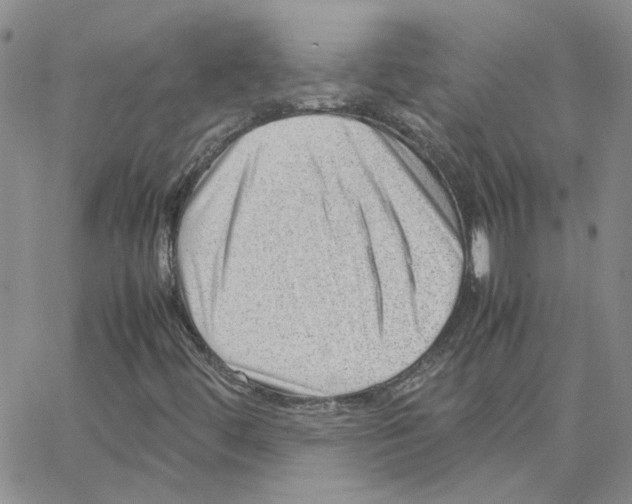 X0000064751444200603131332