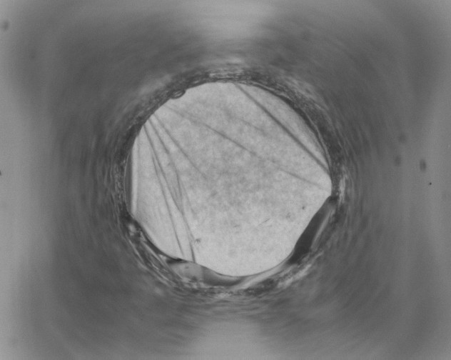 X0000064751445200603131332