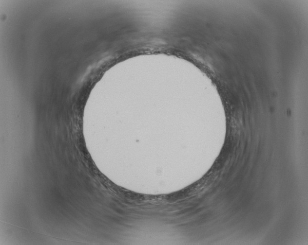 X0000064751447200603131331