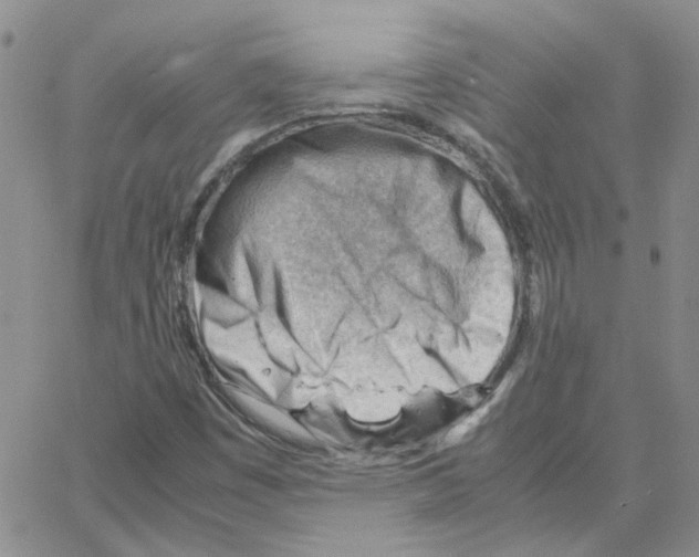 X0000064751449200603131331