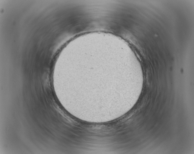 X0000064751452200603131331