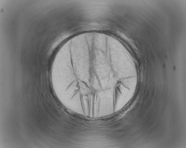 X0000064751453200603131331