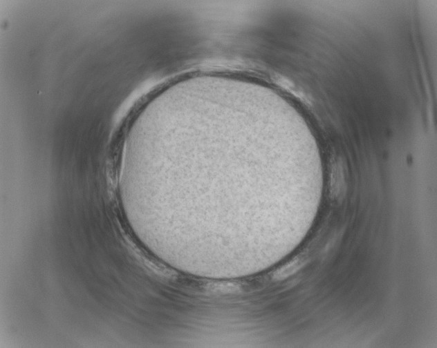 X0000064751454200603131331