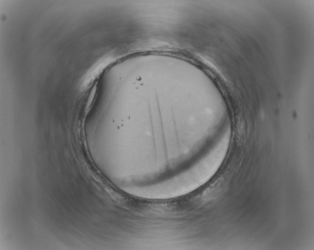 X0000064751455200603131331