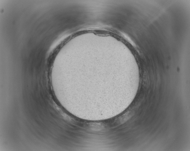 X0000064751456200603131331