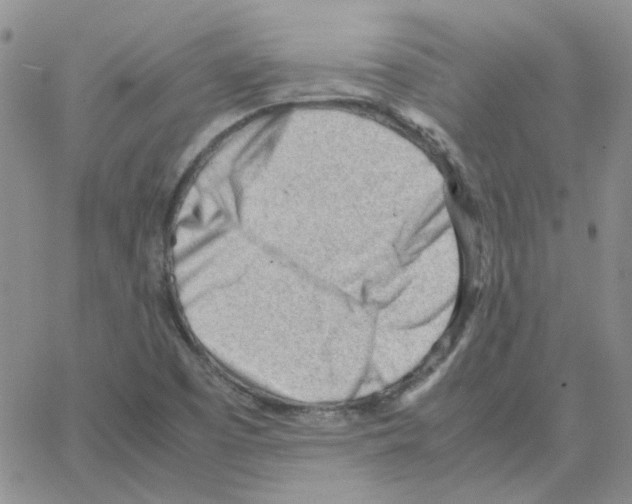 X0000064751457200603131331