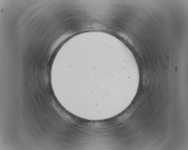 X0000064751458200603131331