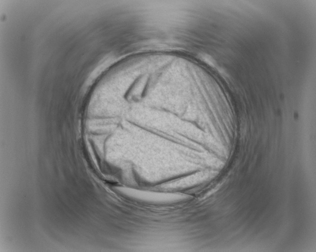 X0000064751459200603131331