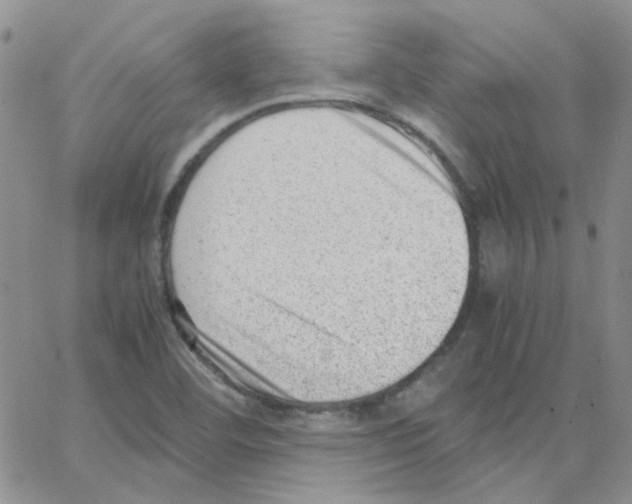 X0000064751460200603131331