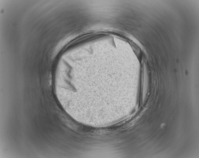 X0000064751461200603131331