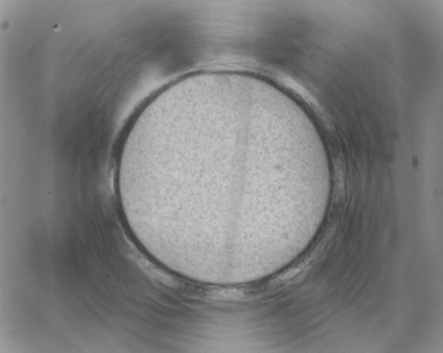 X0000064751462200603131331