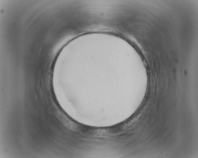 X0000064751463200603131331