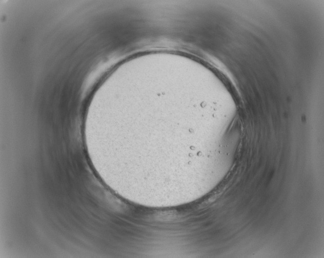 X0000064751464200603131331