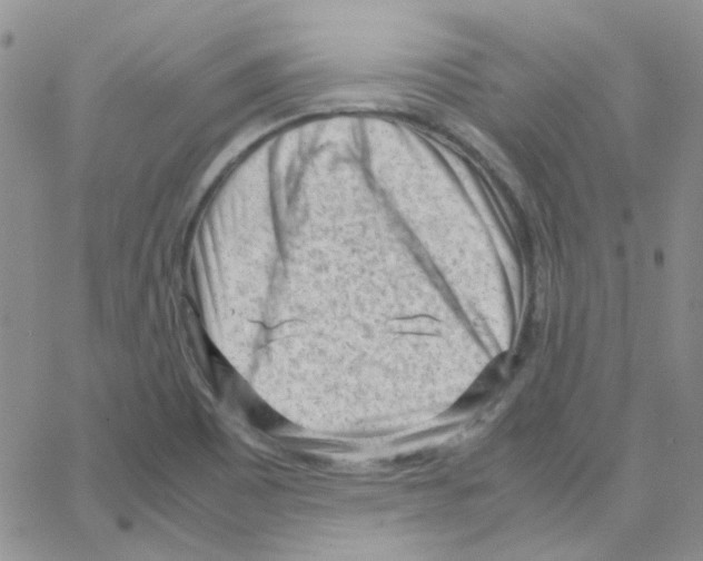 X0000064751465200603131331