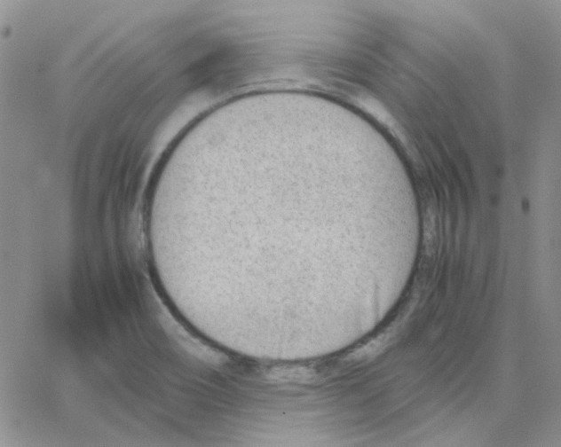 X0000064751466200603131331