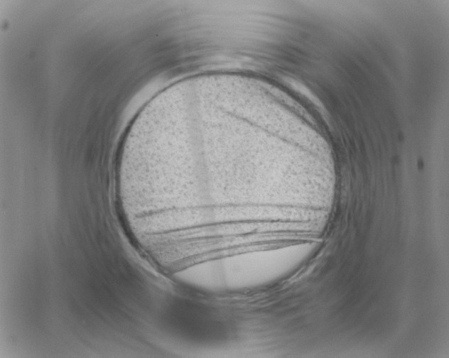 X0000064751467200603131331