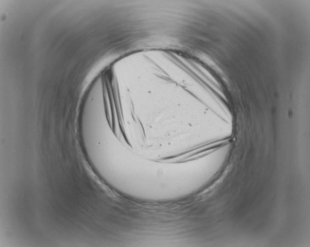 X0000064751469200603131331