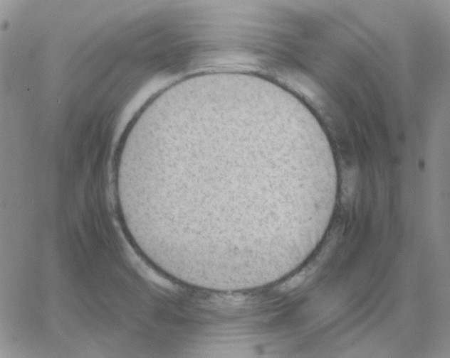 X0000064751470200603131331