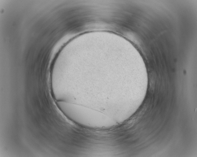 X0000064751472200603131331