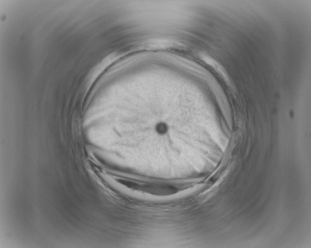 X0000064751473200603131331