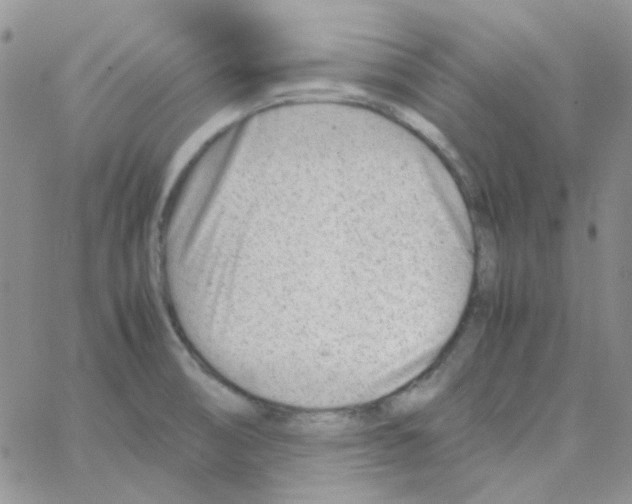 X0000064751474200603131331