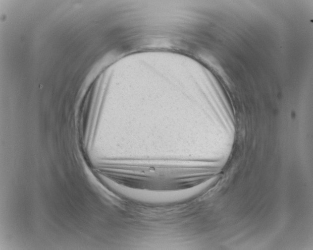 X0000064751475200603131331