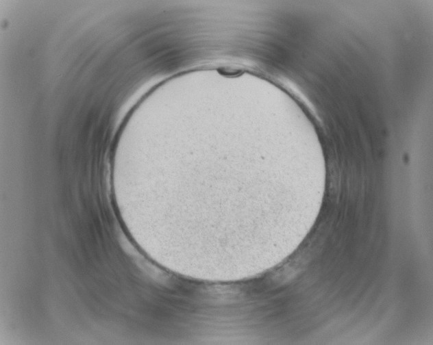 X0000064751476200603131331