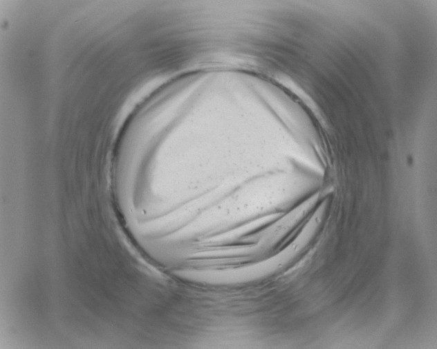 X0000064751477200603131331