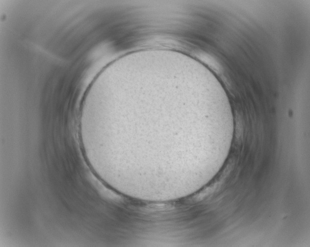 X0000064751478200603131331