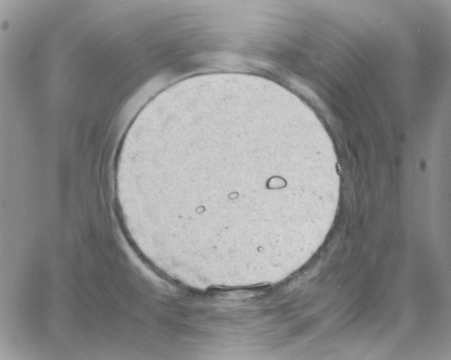 X0000064751479200603131331