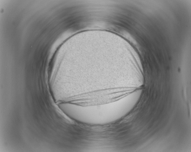 X0000064751480200603131331