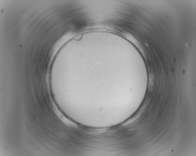 X0000064751482200603131331