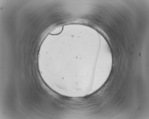 X0000064751483200603131331