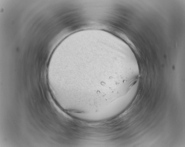 X0000064751484200603131331