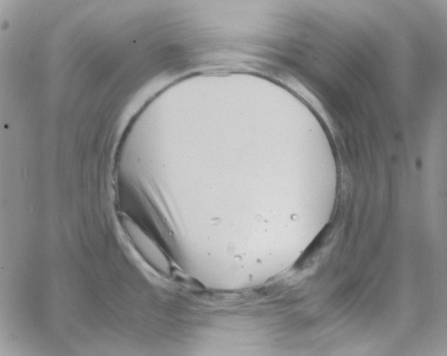 X0000064751485200603131331