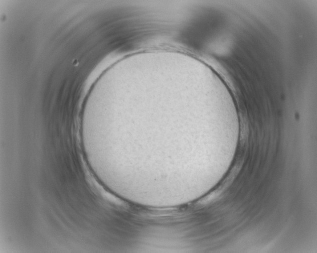 X0000064751486200603131331