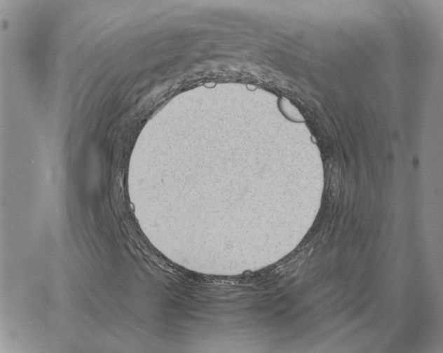 X0000064751489200603131330