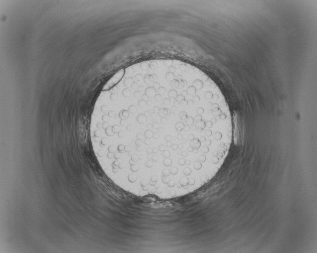 X0000064751491200603131330