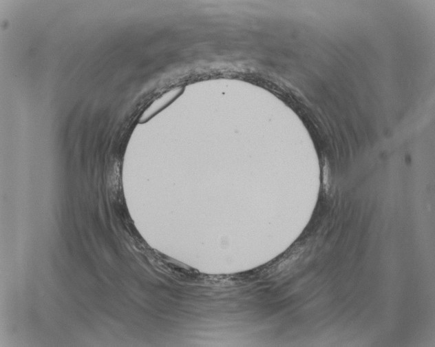 X0000064751492200603131330