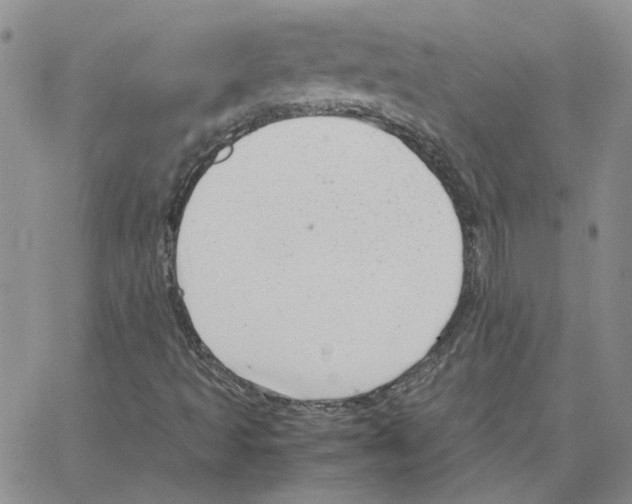 X0000064751493200603131330