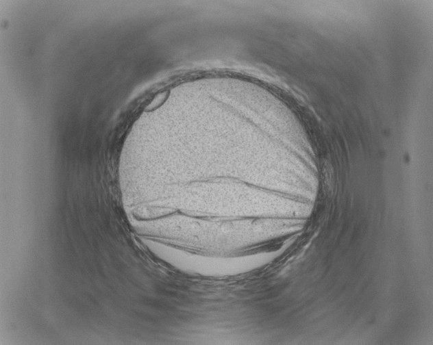 X0000064751494200603131330