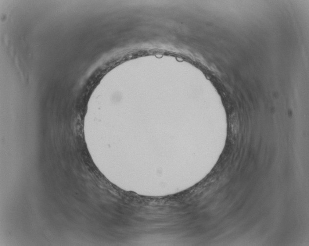 X0000064751495200603131330