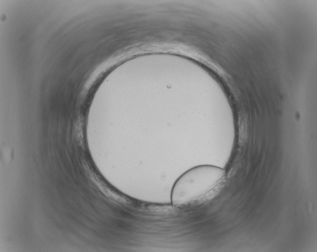 X0000064751498200603131330