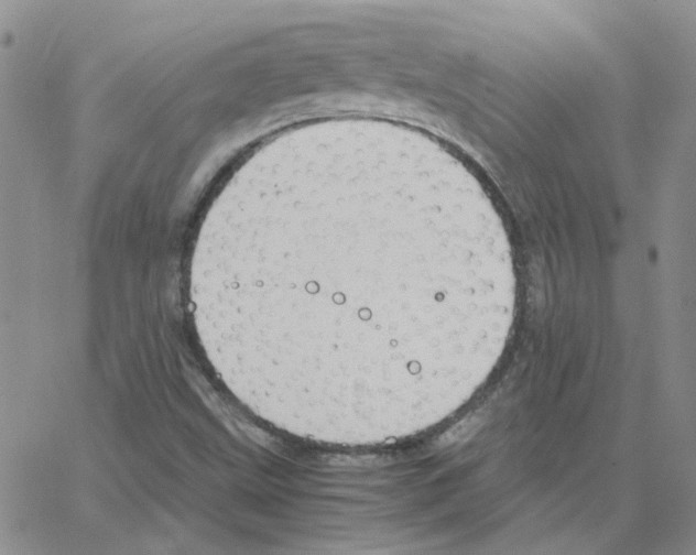 X0000064751499200603131330