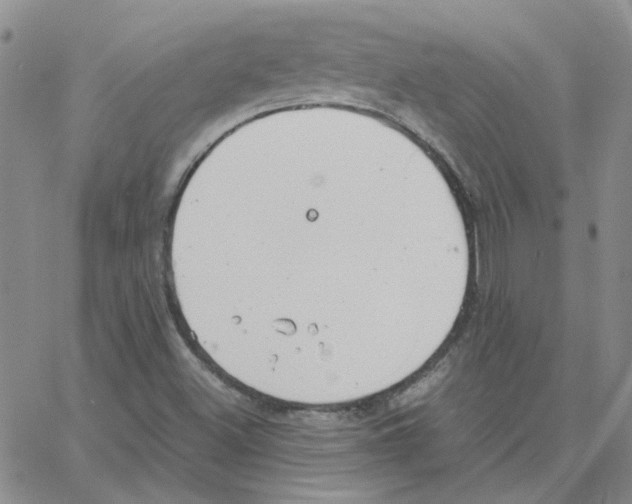 X0000064751500200603131330