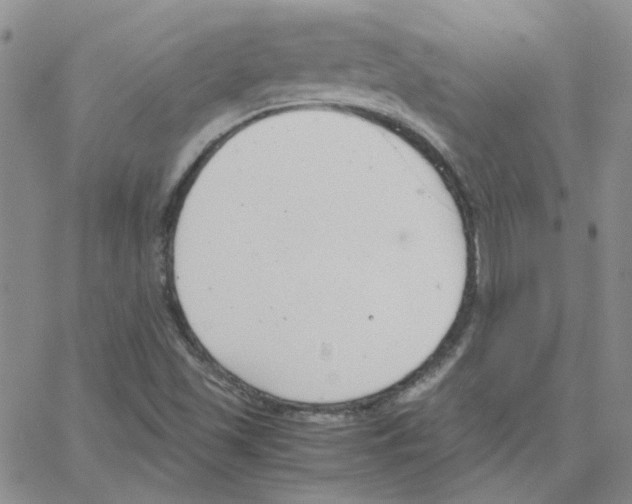 X0000064751501200603131330