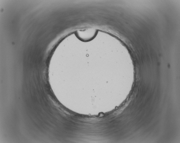 X0000064751502200603131330