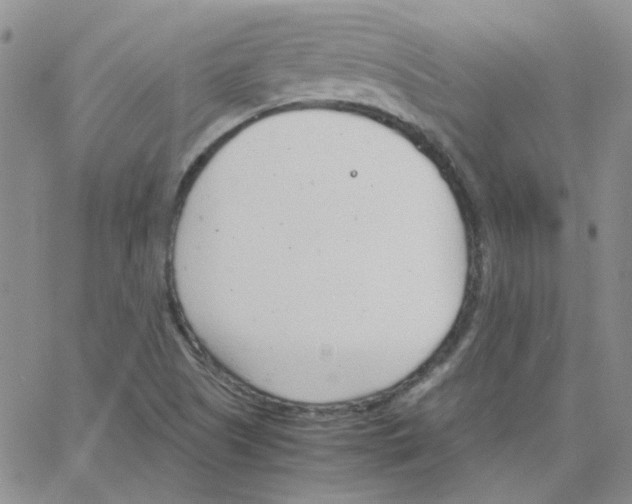 X0000064751505200603131330