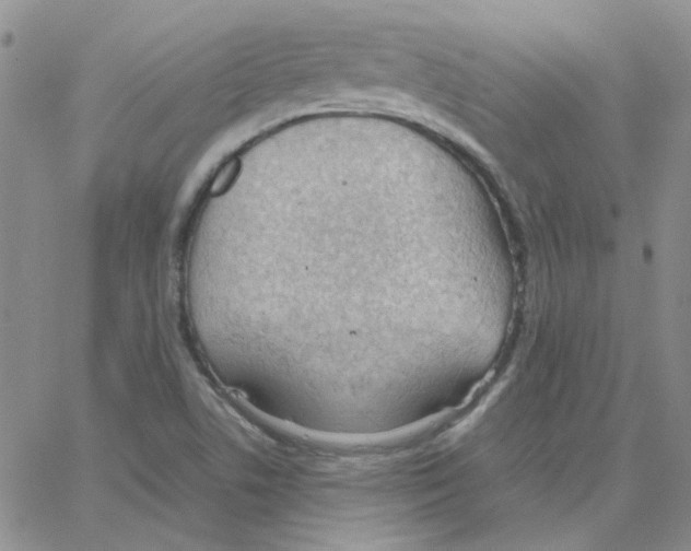 X0000064751506200603131330